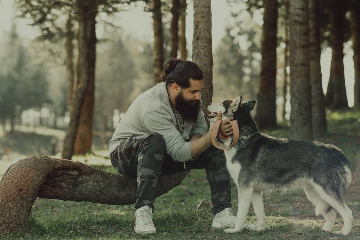 Father’s Day Gift Ideas for Dog Dads & Pet-Loving Guys