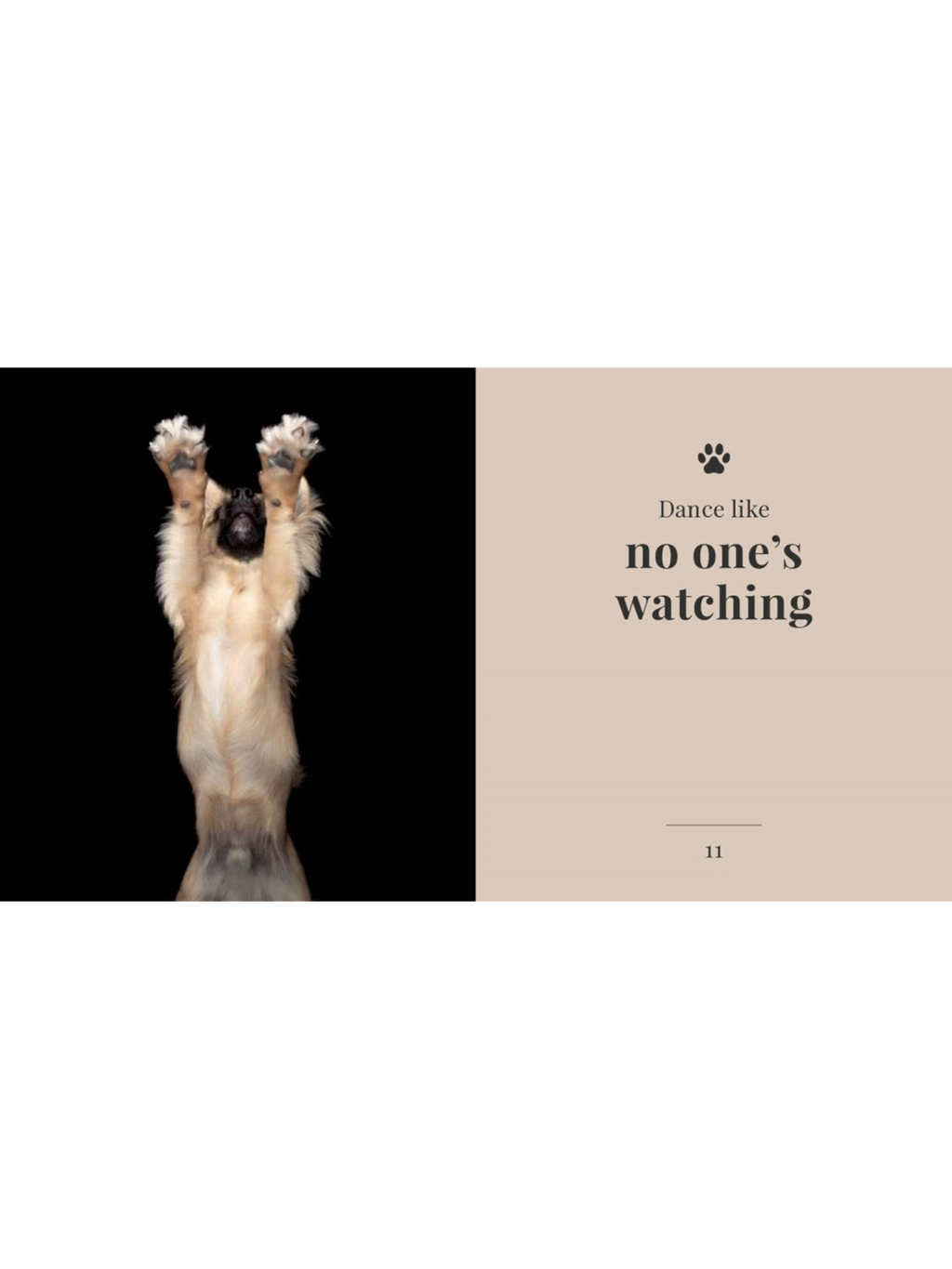 The Wisdom of Dogs: Alex Cearns