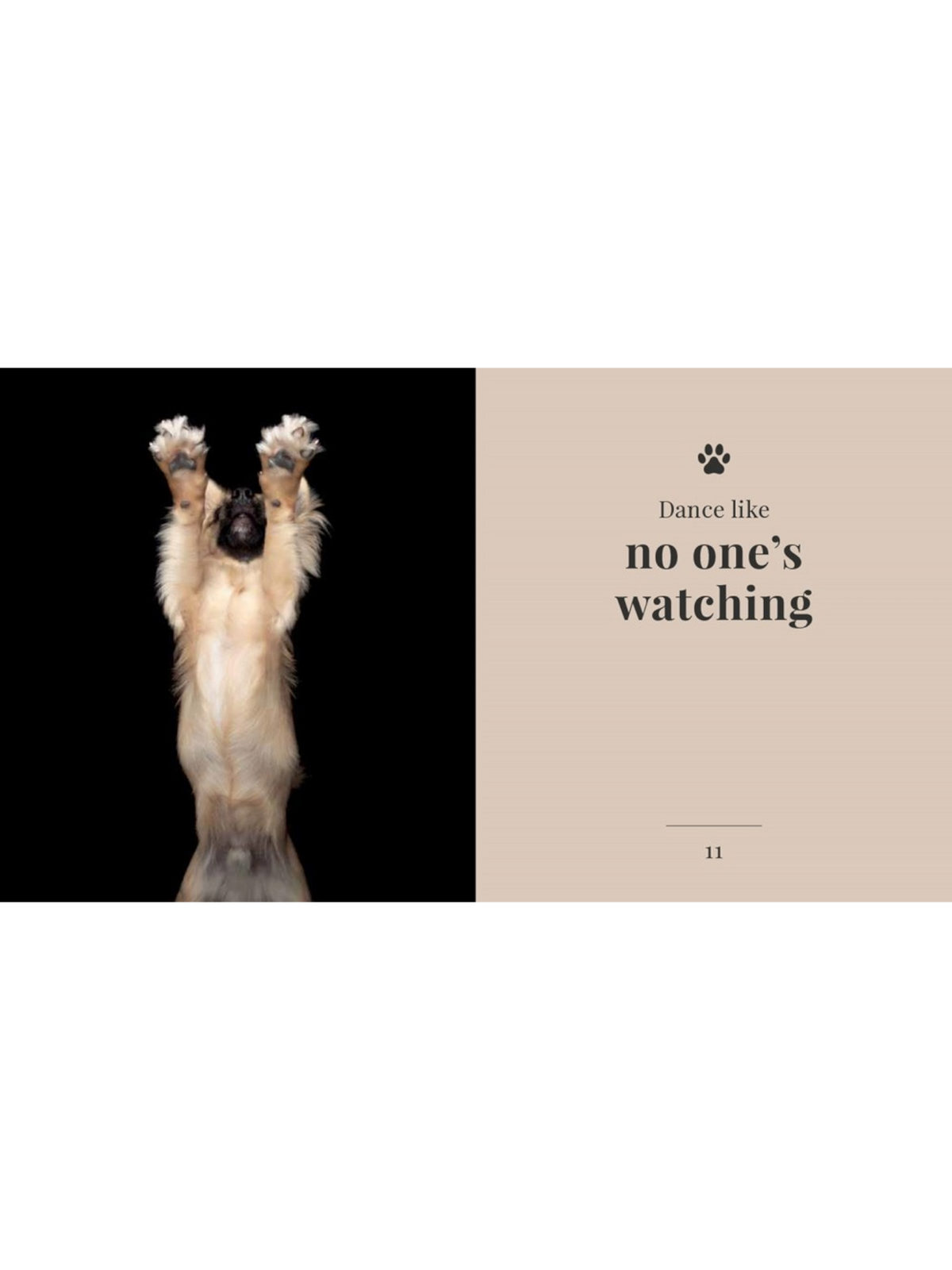 The Wisdom of Dogs: Alex Cearns