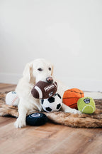 Tennis Ball Plush Dog Toy
