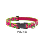Lupine Original Designs Dog Collar