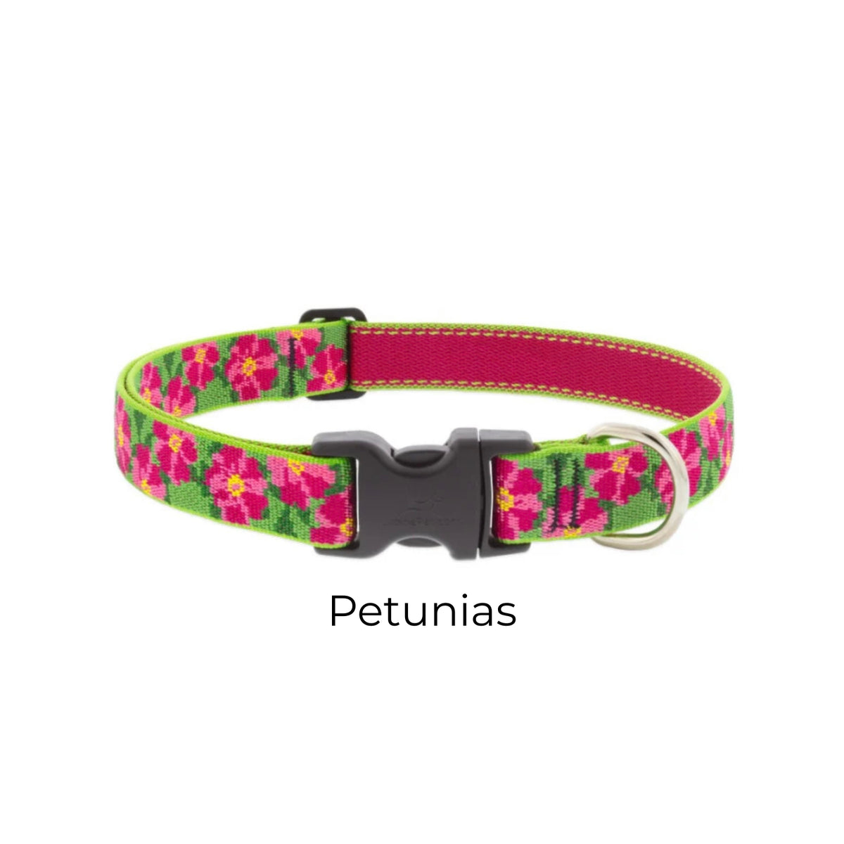 Lupine Original Designs Dog Collar