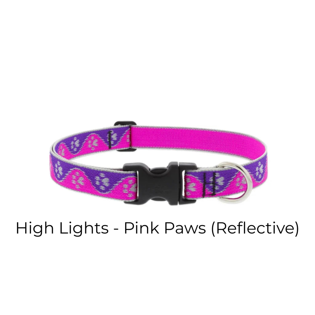 Lupine Original Designs Dog Collar