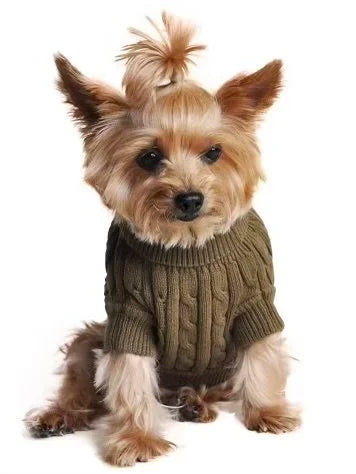 Herb Green Cotton Sweater