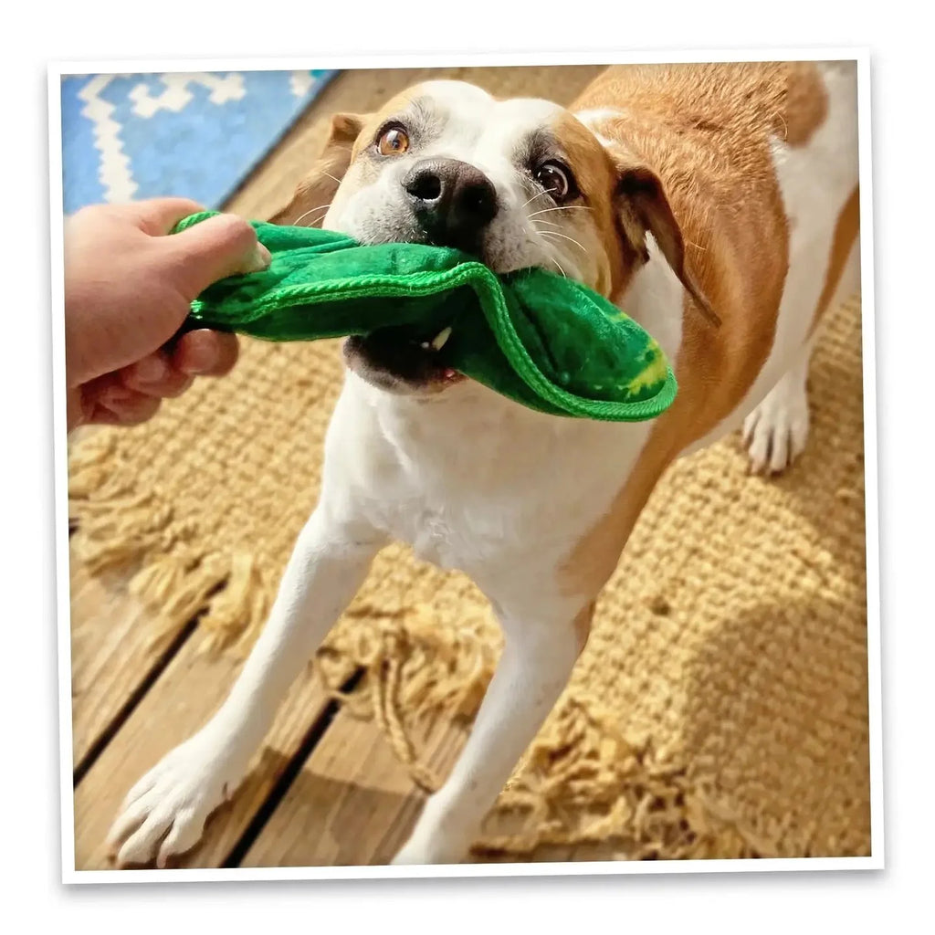 Doggijuana® Tuffer Chewer Dill Pickle Refillable Dog Toy