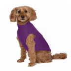 Base Layer Fleece Dog Pullover - Purple