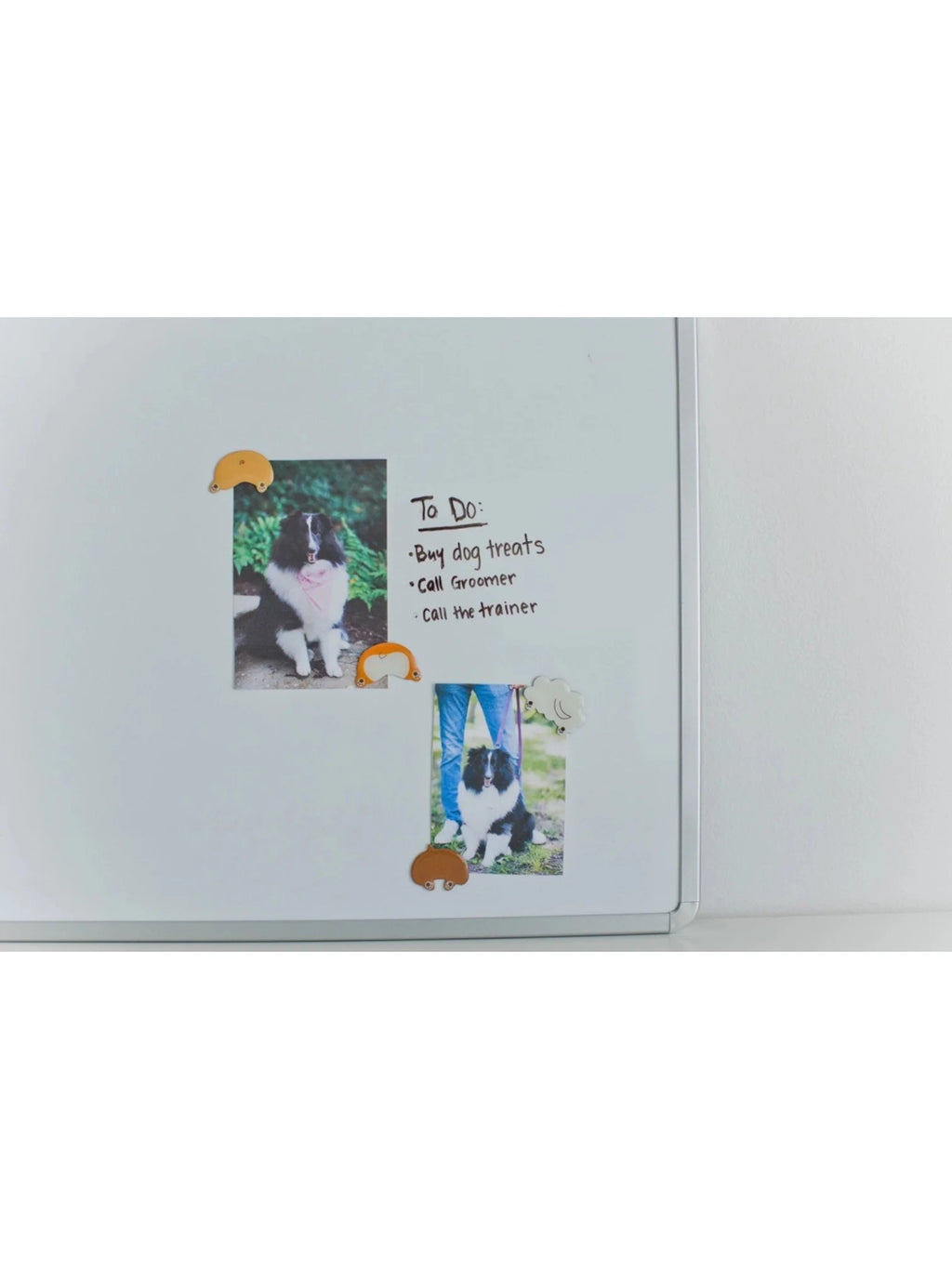 Dog Butt Magnets
