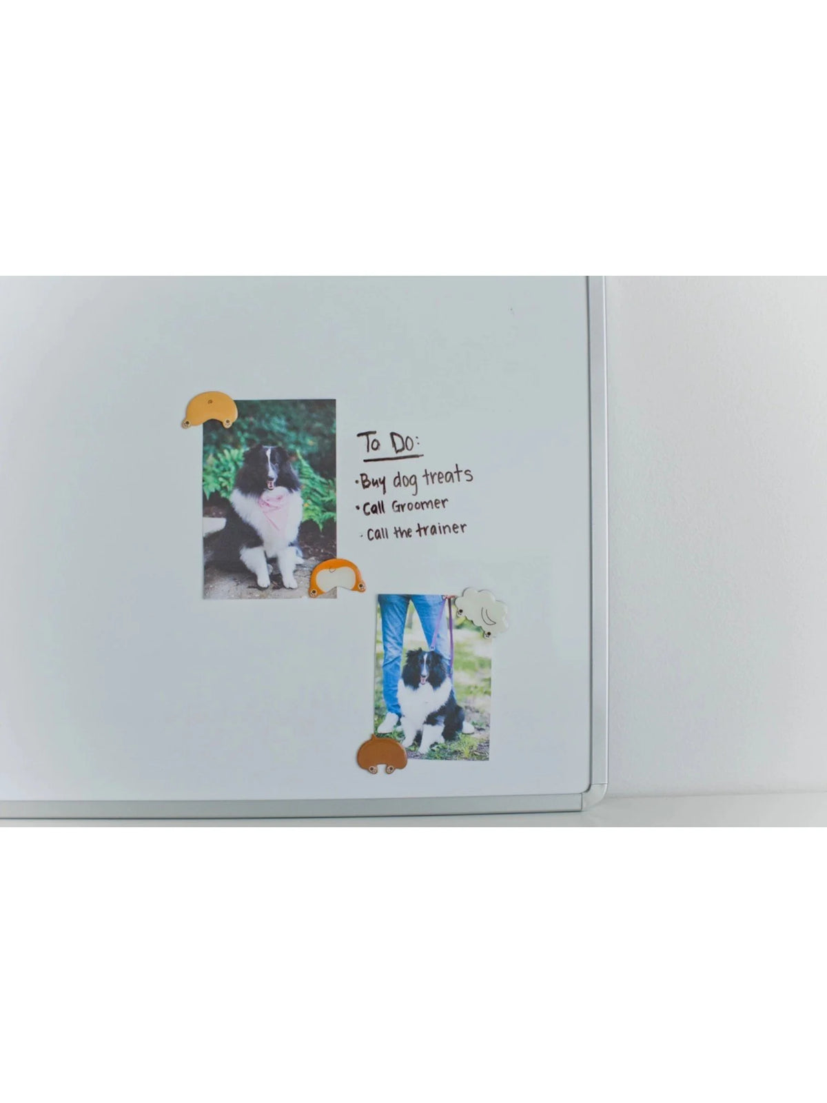 Dog Butt Magnets