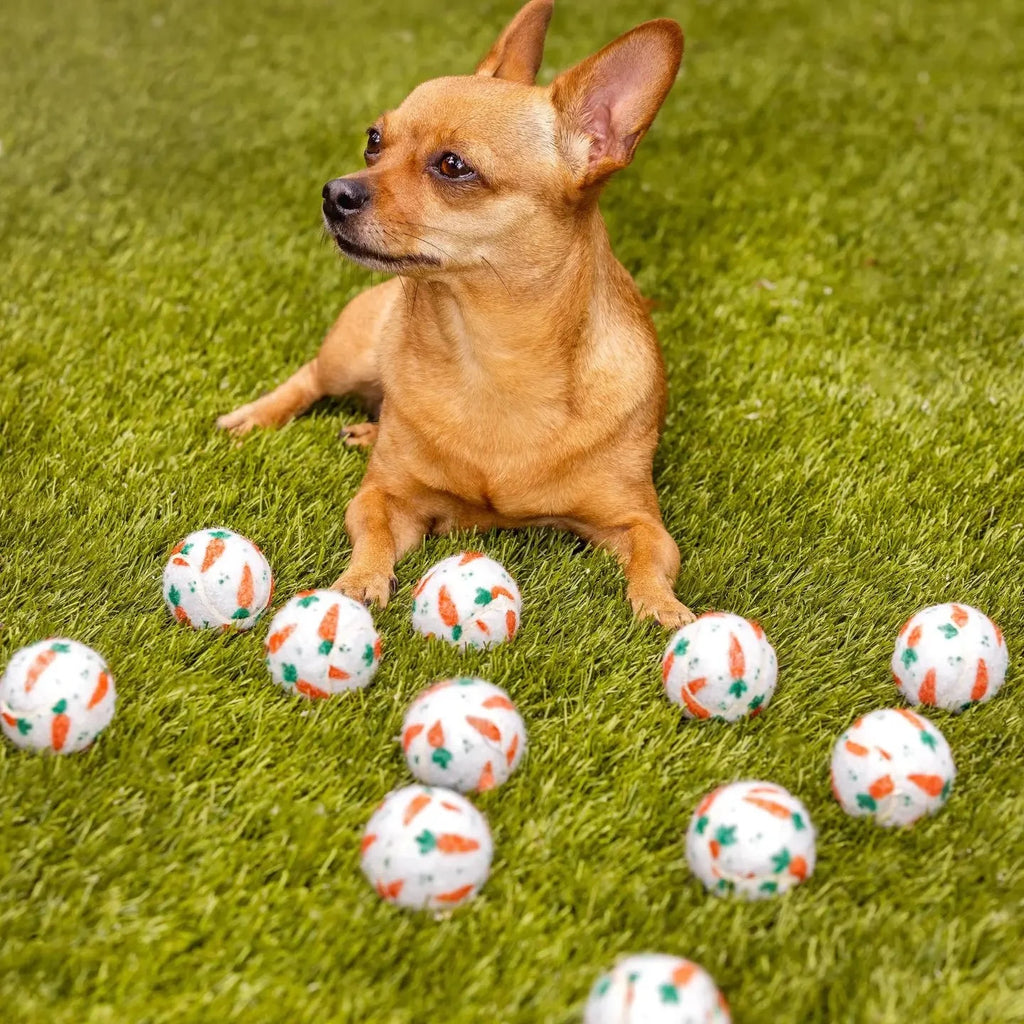 Easter Carrot Dog Tennis Balls