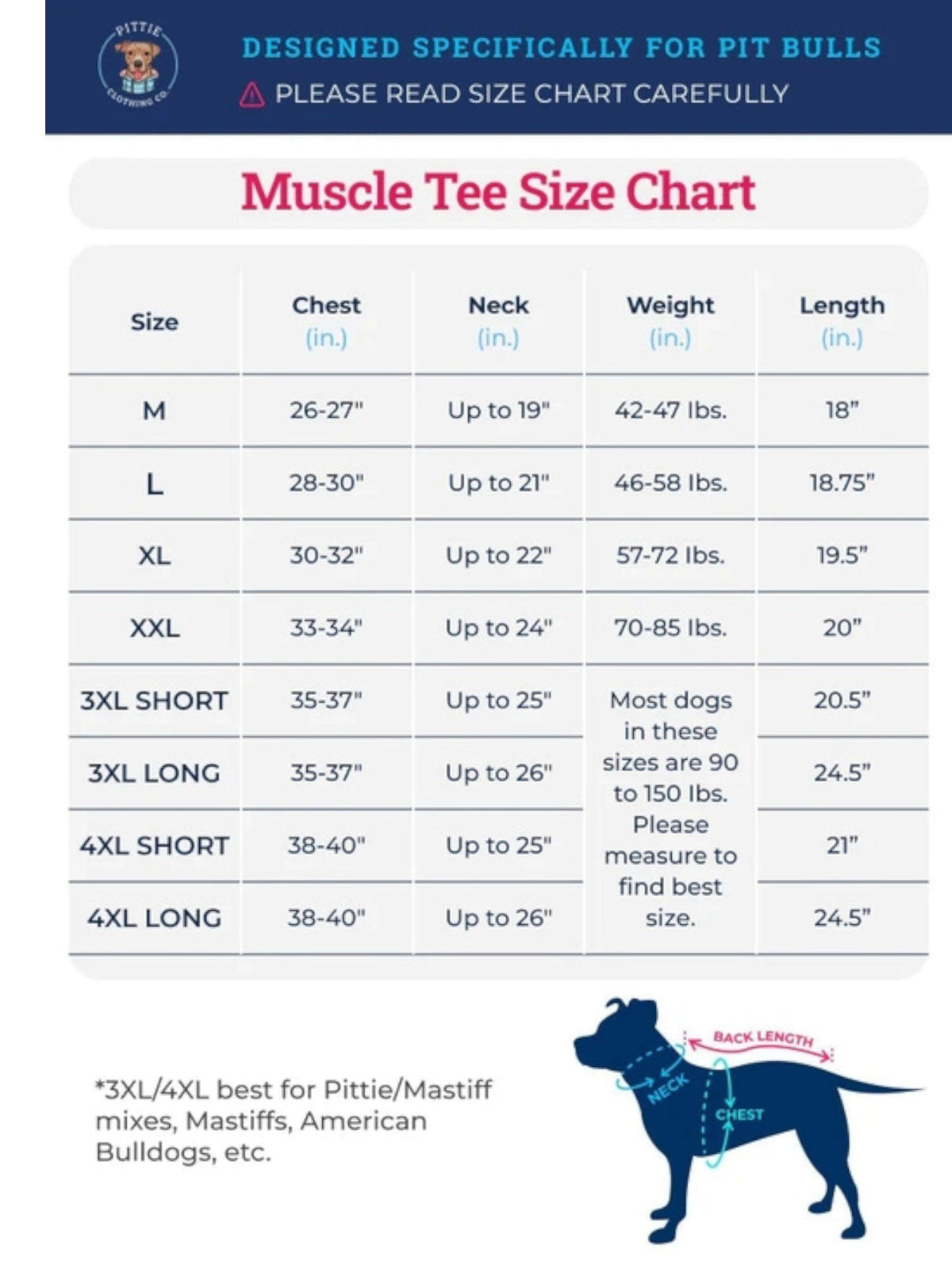 You Are My Sunshine Muscle Tee