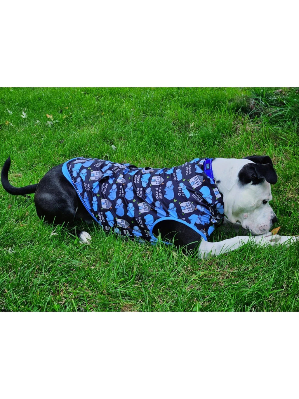 Black 'Pitty-Potamus' Muscle Tee