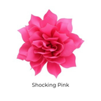 Fluffy Flower Dog Collar Accessory
