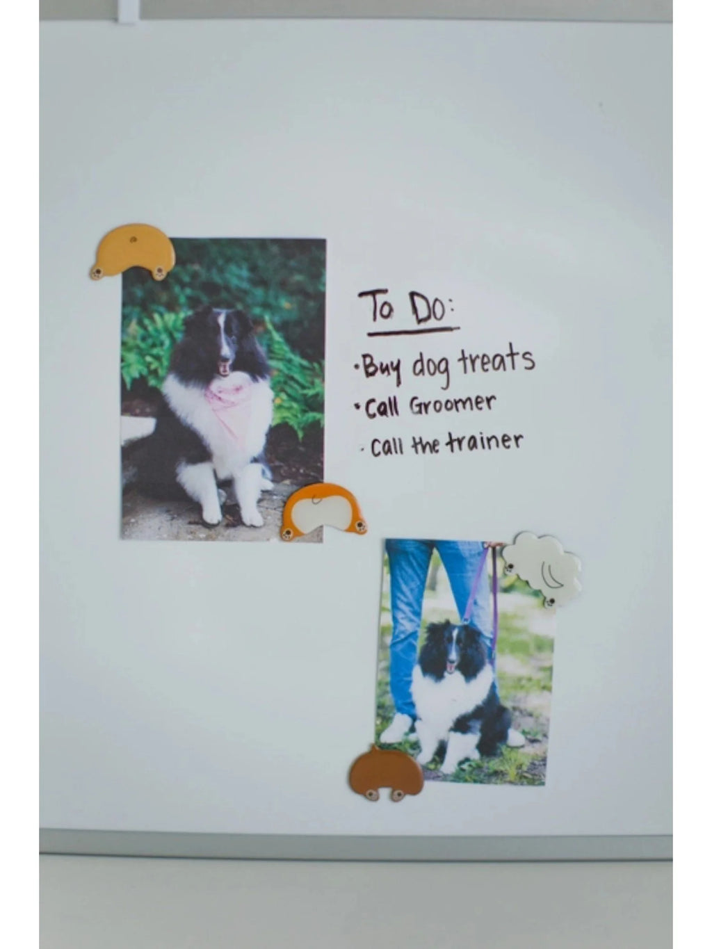 Dog Butt Magnets