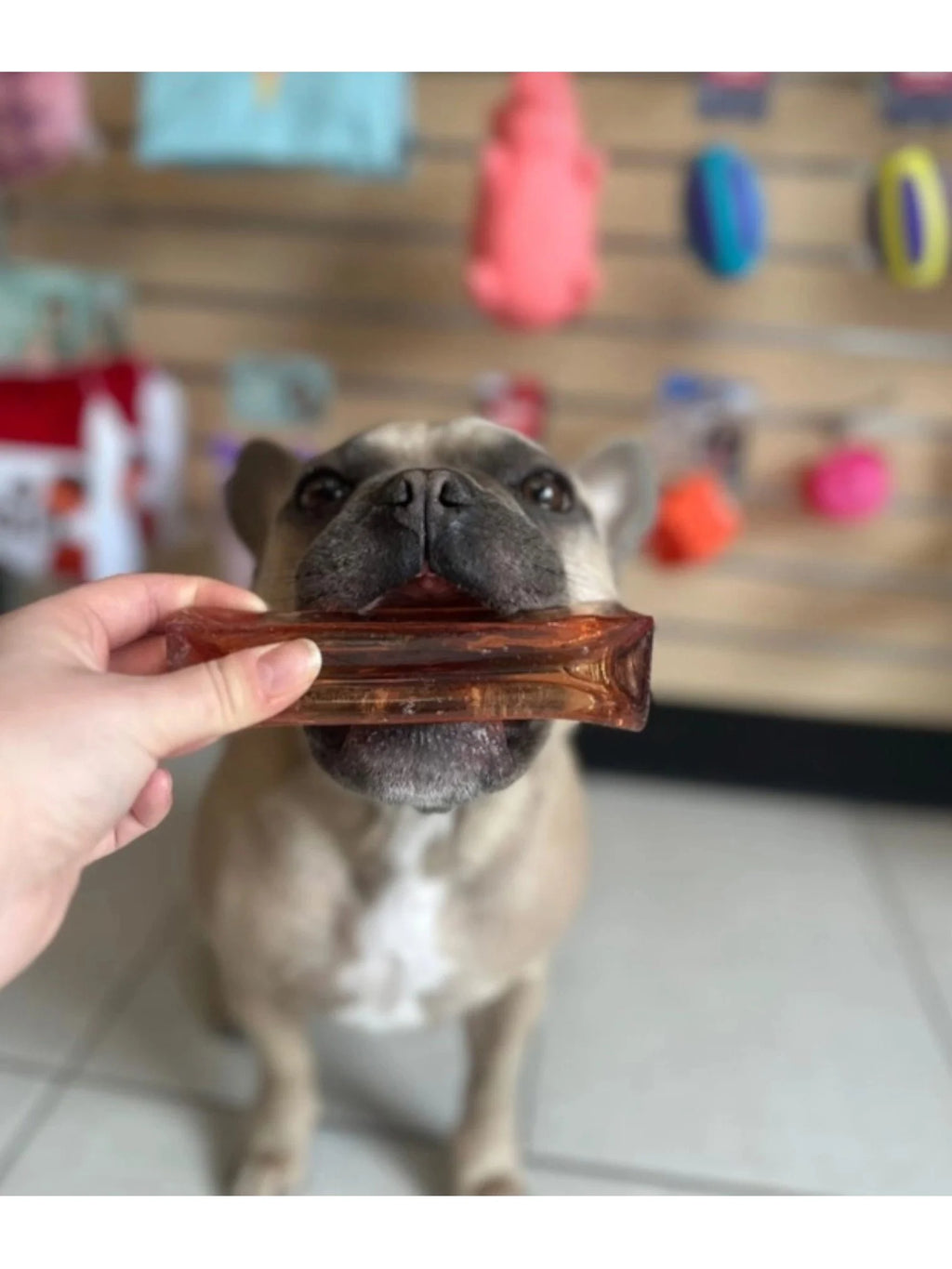 Mighty Marrows Collagen Dental Chew - Bacon