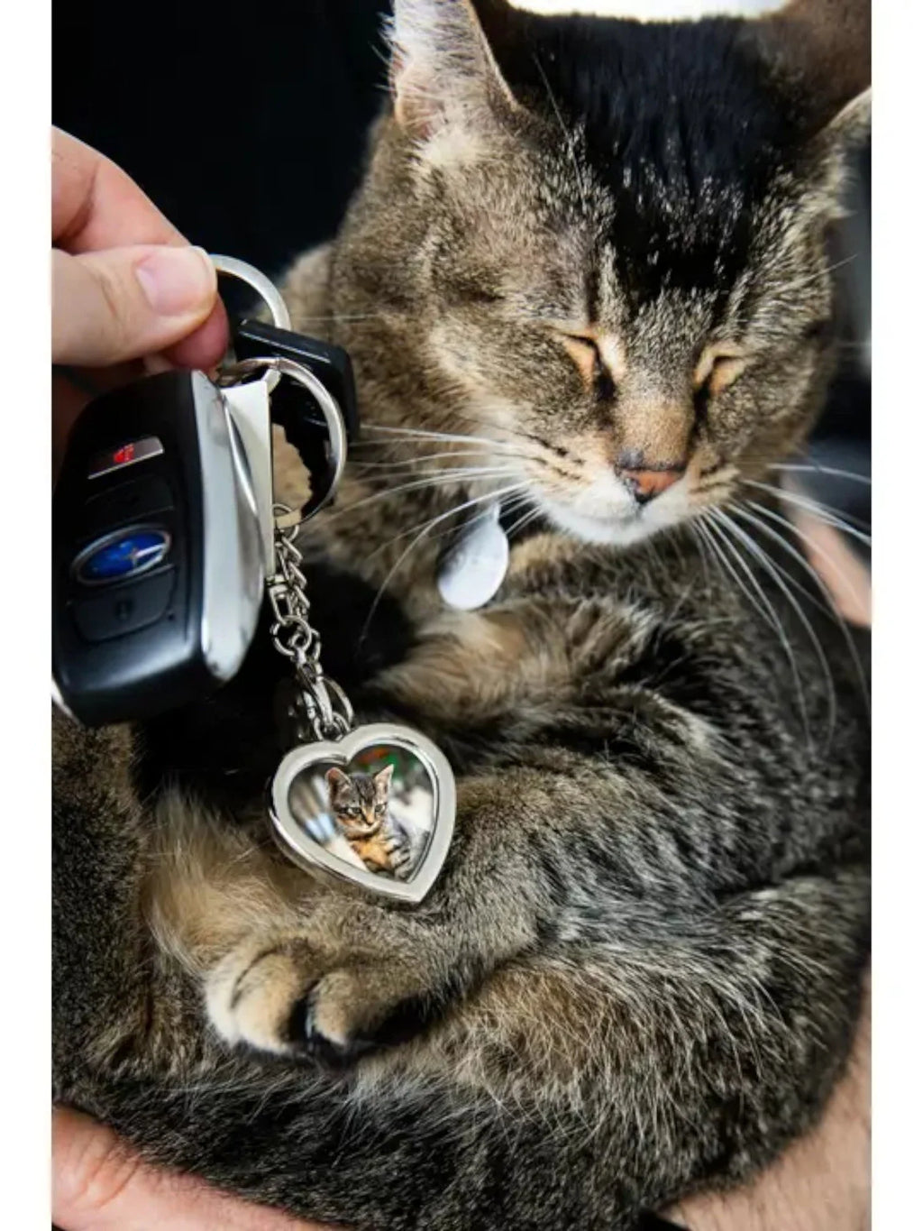 Heart Keychain with Paw Charm, Silver