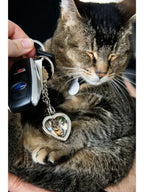 Heart Keychain with Paw Charm, Silver