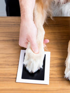Pet Pawprint Clean-Touch Ink Pad
