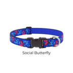 Lupine Original Designs Dog Collar