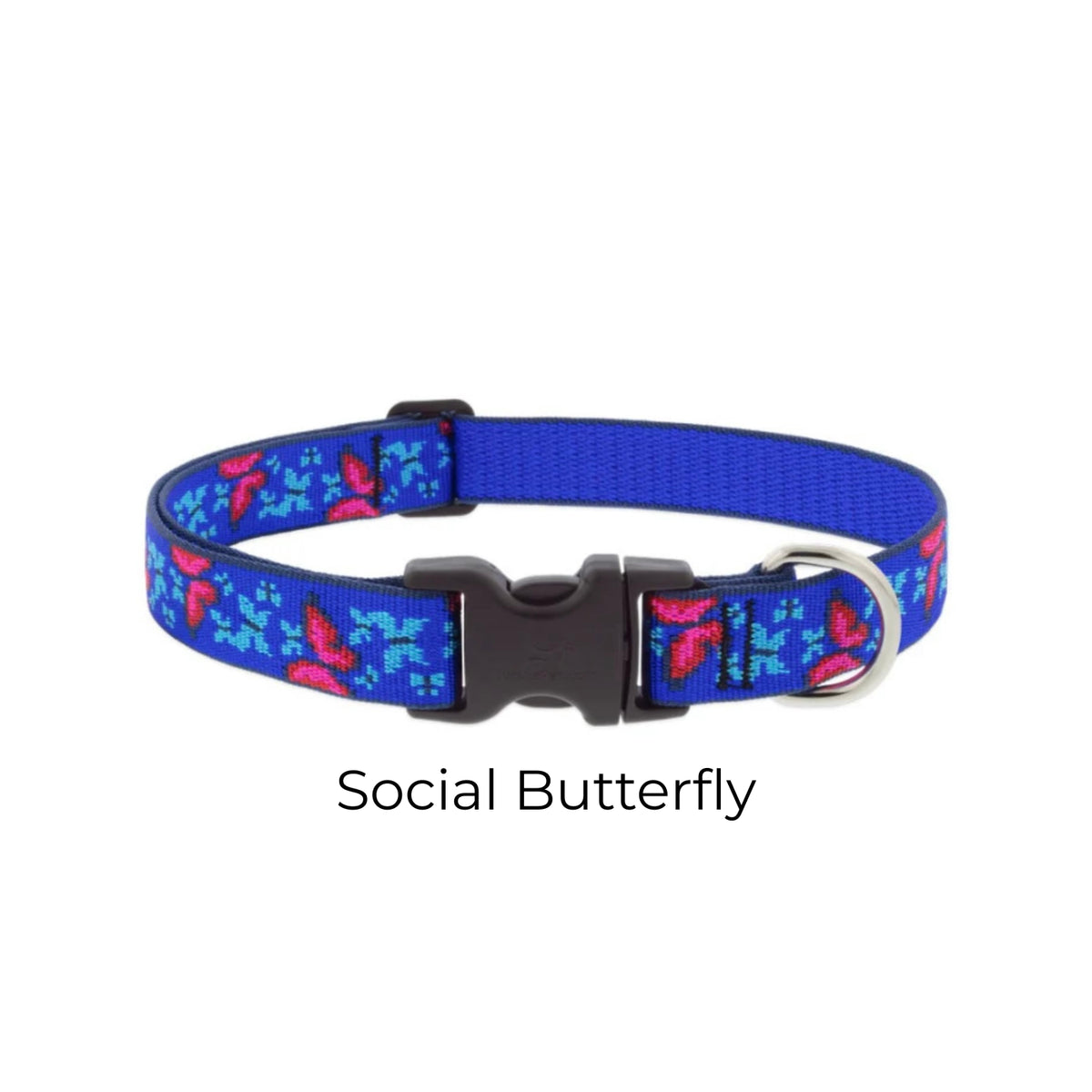 Lupine Original Designs Dog Collar