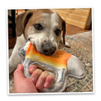 Doggijuana® Tuffer Chewer Beer Mug Refillable Dog Toy