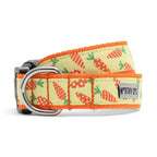 Crazy Carrots Dog Collar