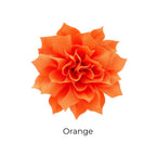Fluffy Flower Dog Collar Accessory