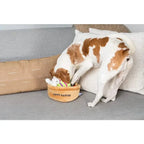 Hide A Toy Easter Basket Dog Toy