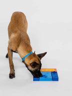 Beginner Set Level 1 | Pawzler