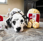 Popcorn Interactive Dog Toy