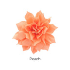 Fluffy Flower Dog Collar Accessory