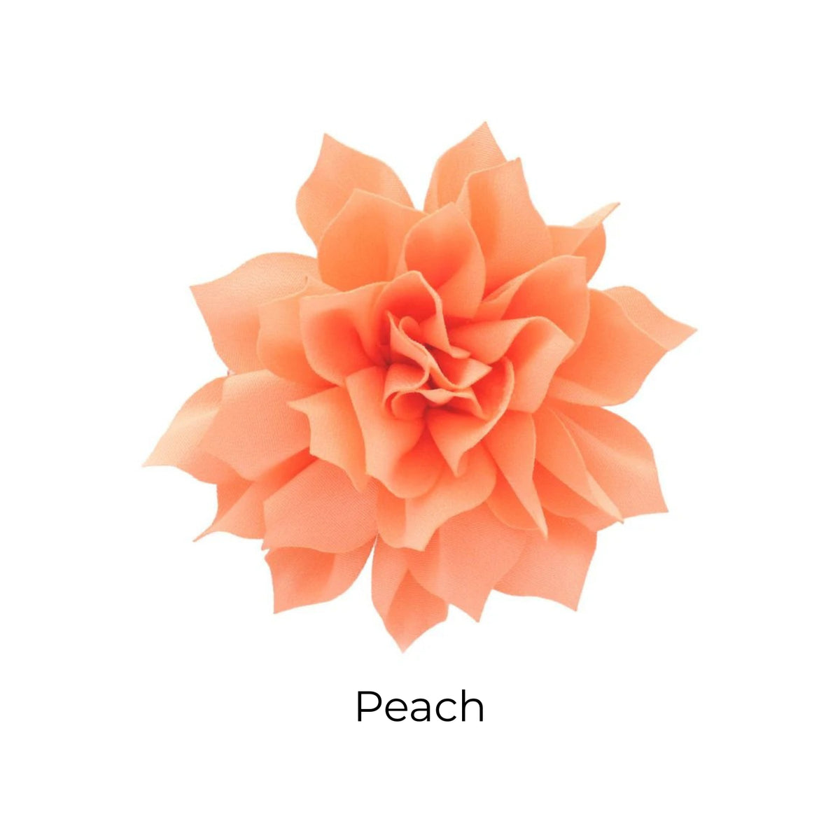 Fluffy Flower Dog Collar Accessory