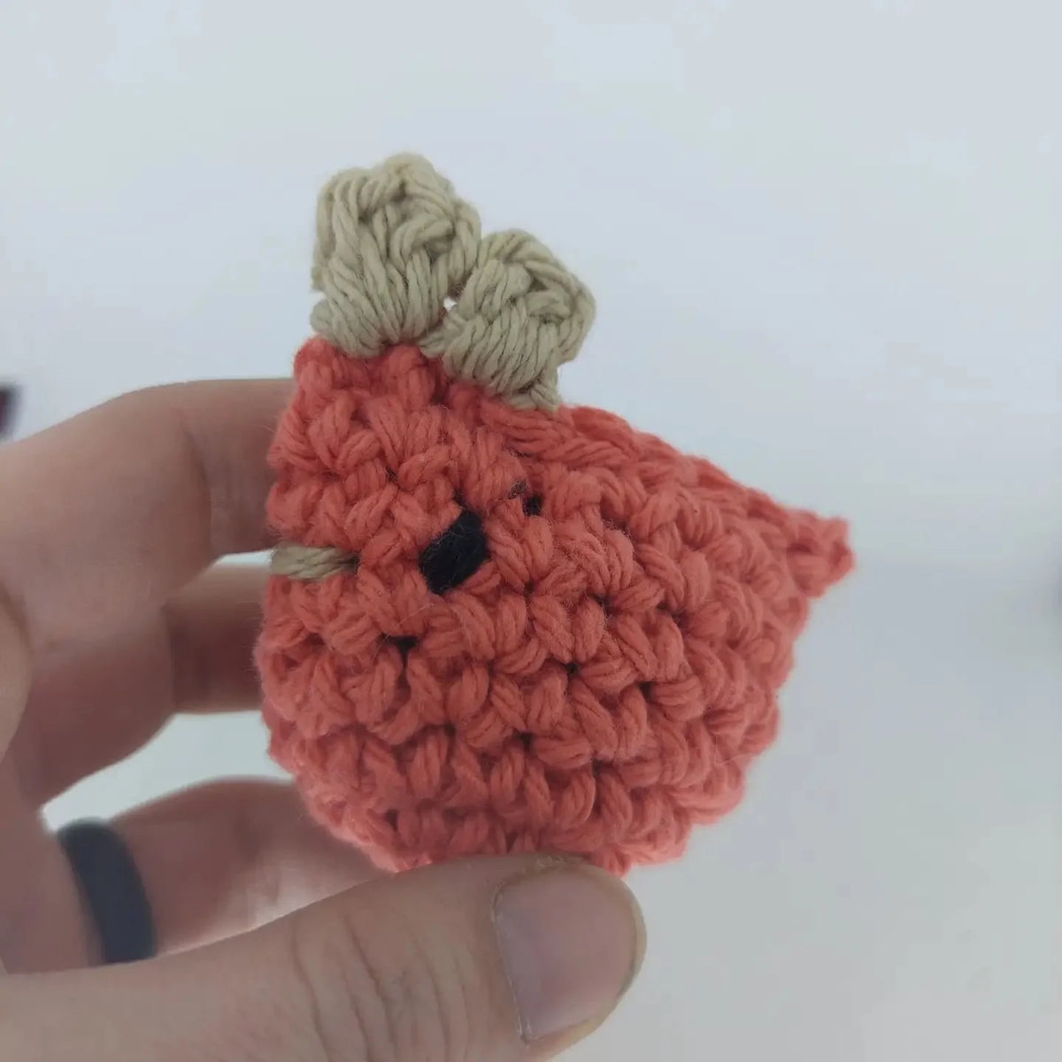 Handmade Spring Hens/Chickens Catnip Toy