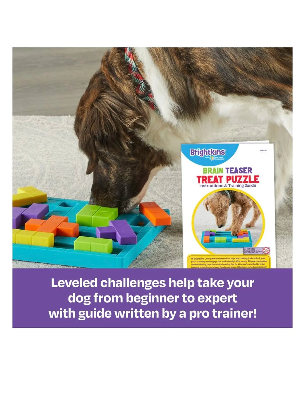 Brain Teaser Treat Puzzle