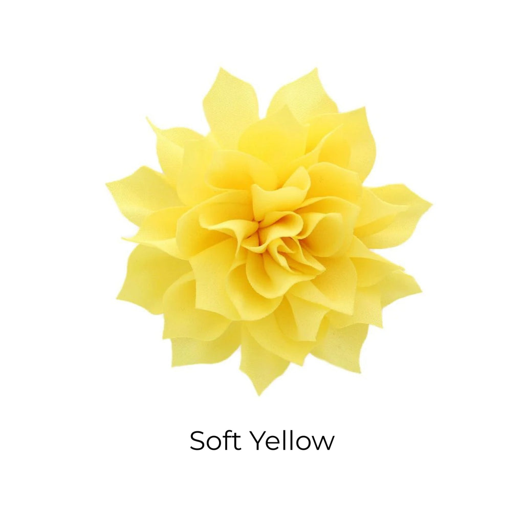 Fluffy Flower Dog Collar Accessory