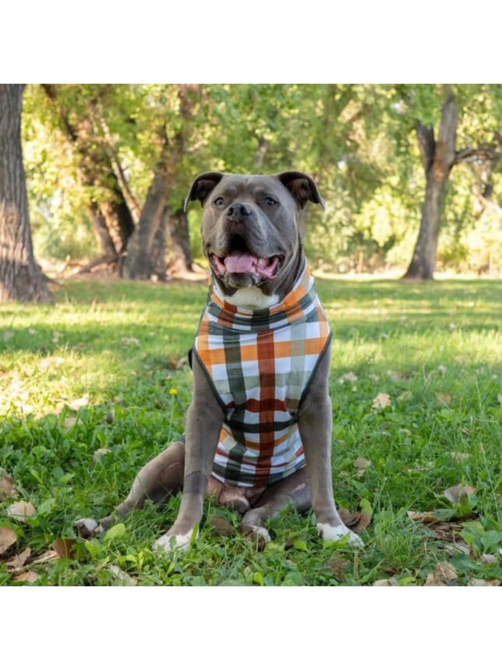 Woofland Woods Muscle Tee