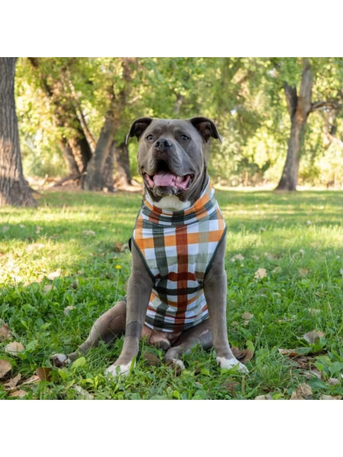 Woofland Woods Muscle Tee