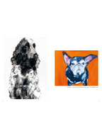 Old Dogs: Sally Muir