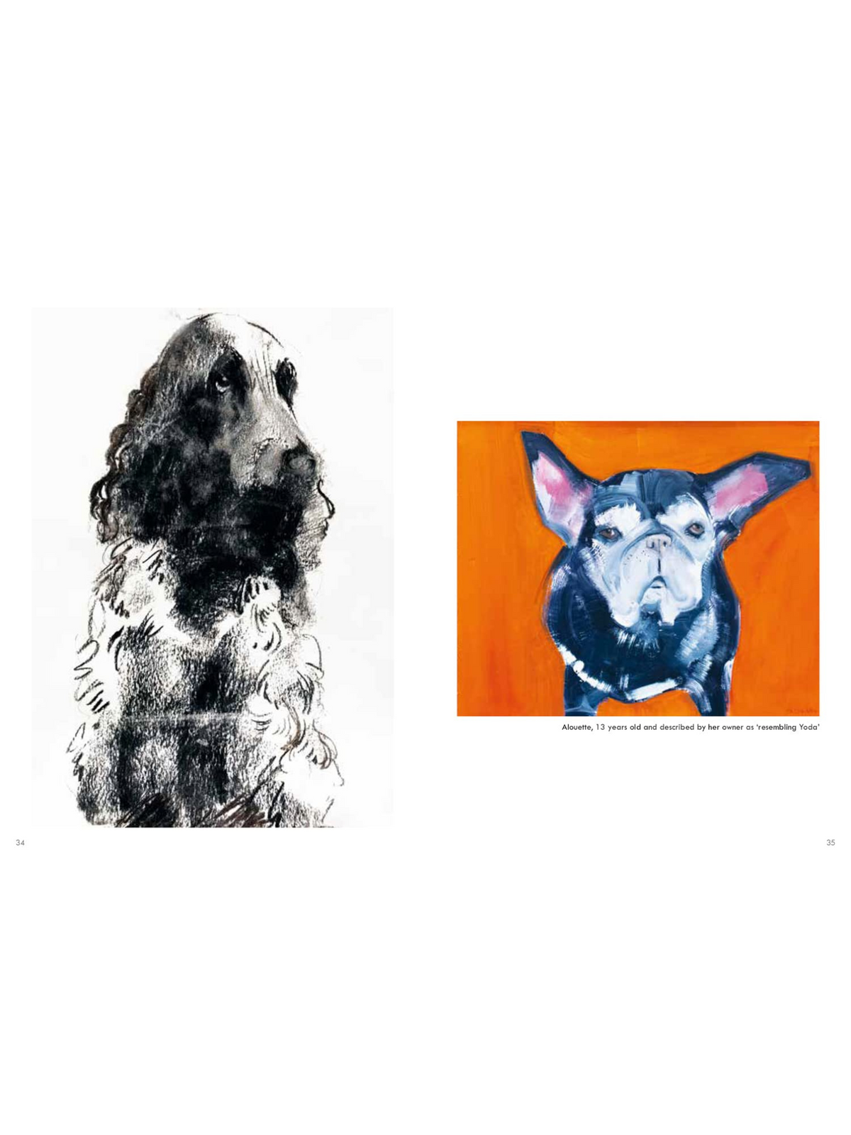 Old Dogs: Sally Muir