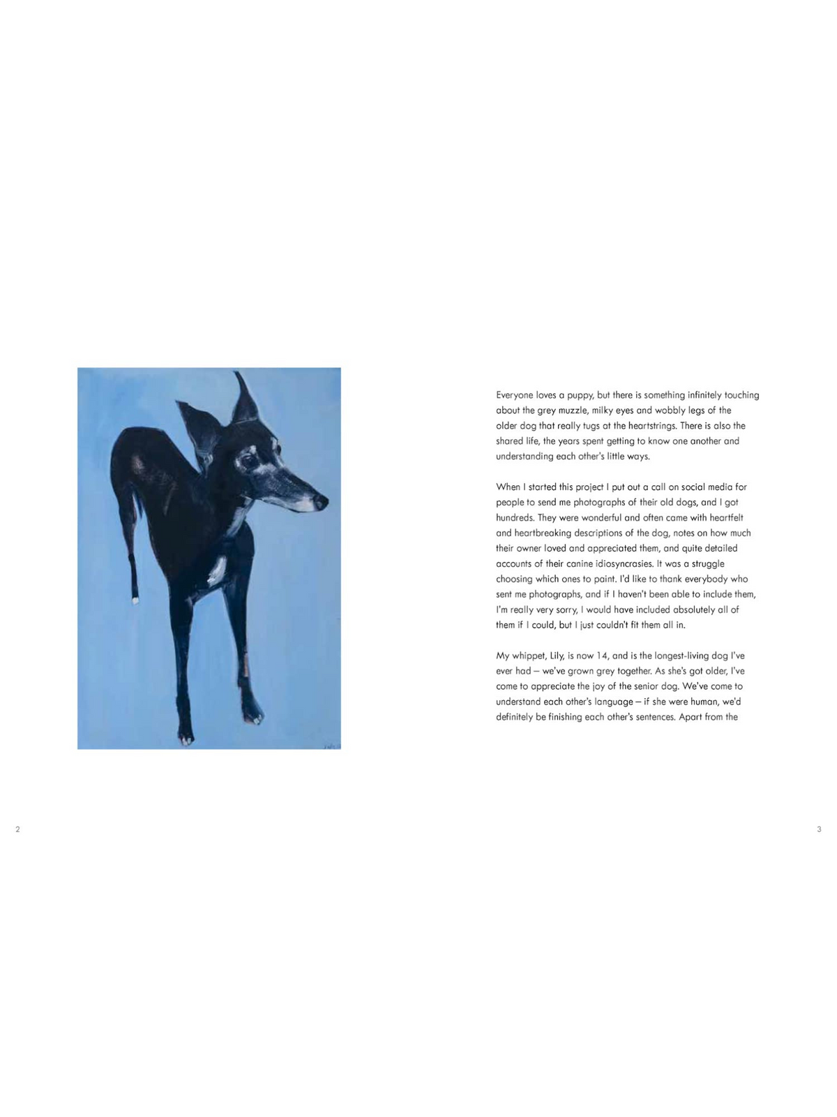 Old Dogs: Sally Muir