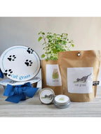 Dog Grass | Pet Bowl