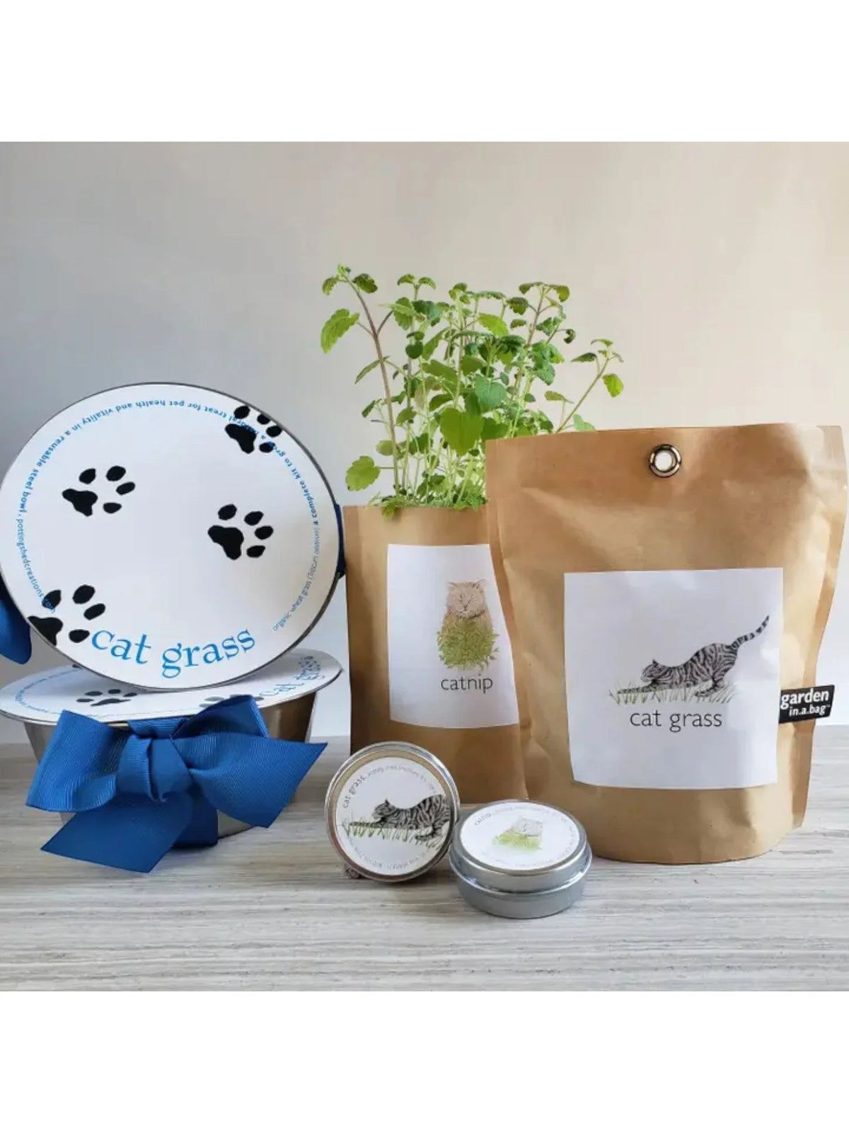 Dog Grass | Pet Bowl