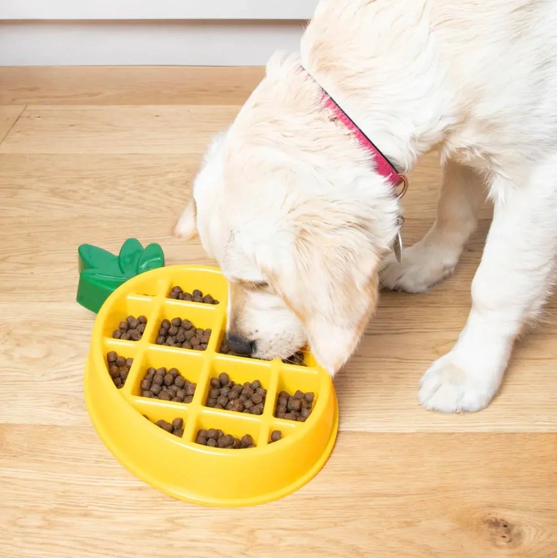 Pineapple Dog Bowl Slow Feeder