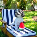 Smiley Watermelon Squeaker Plush Dog Toy
