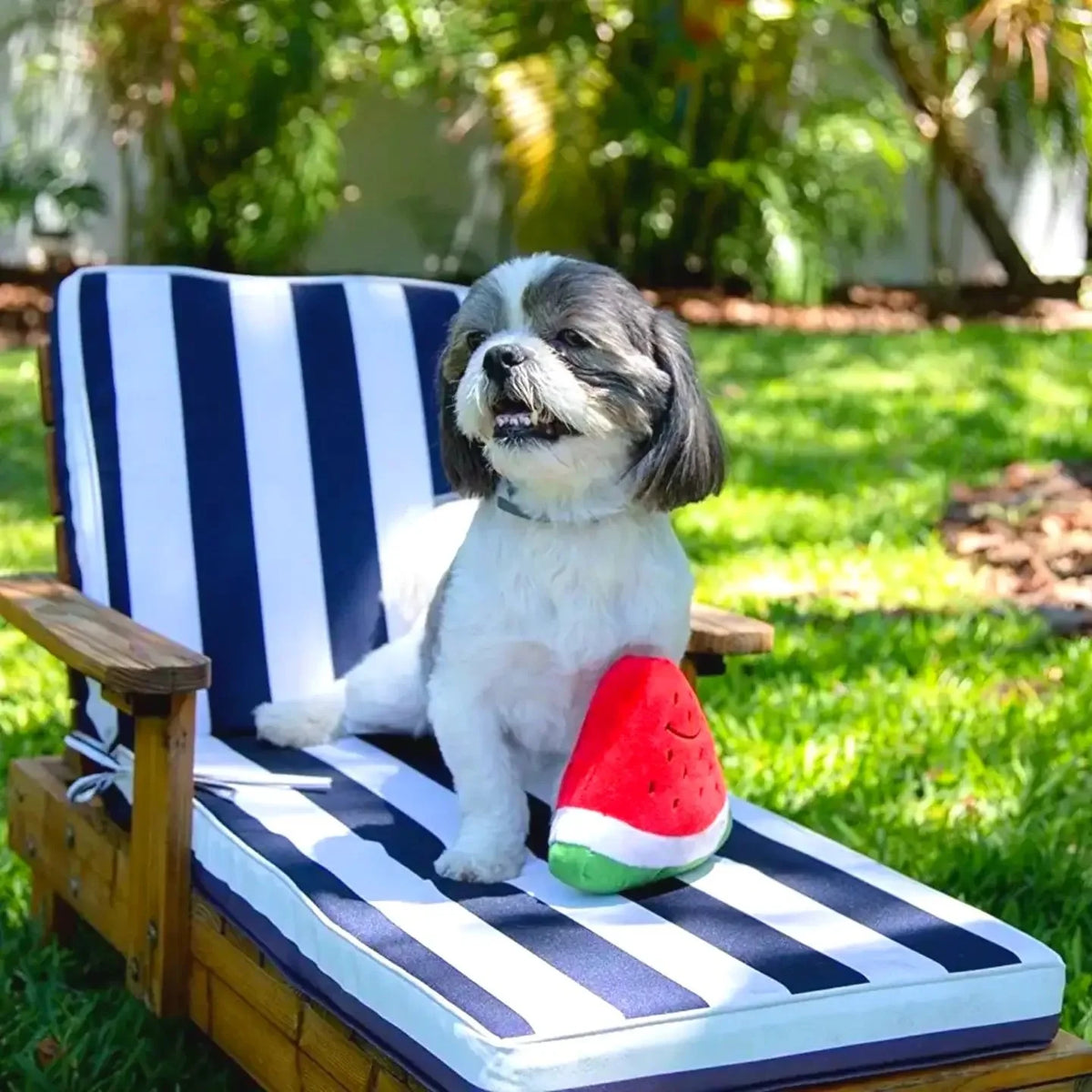 Smiley Watermelon Squeaker Plush Dog Toy