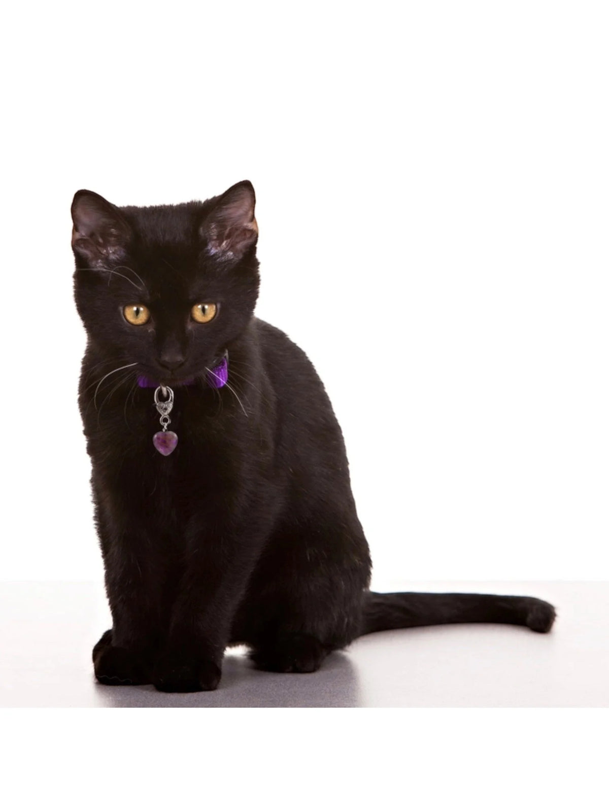 Amethyst Crystal Healing Pet Pendant For Holistic Support