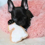 Sugar Cookie Easter Bunny Dog Toy