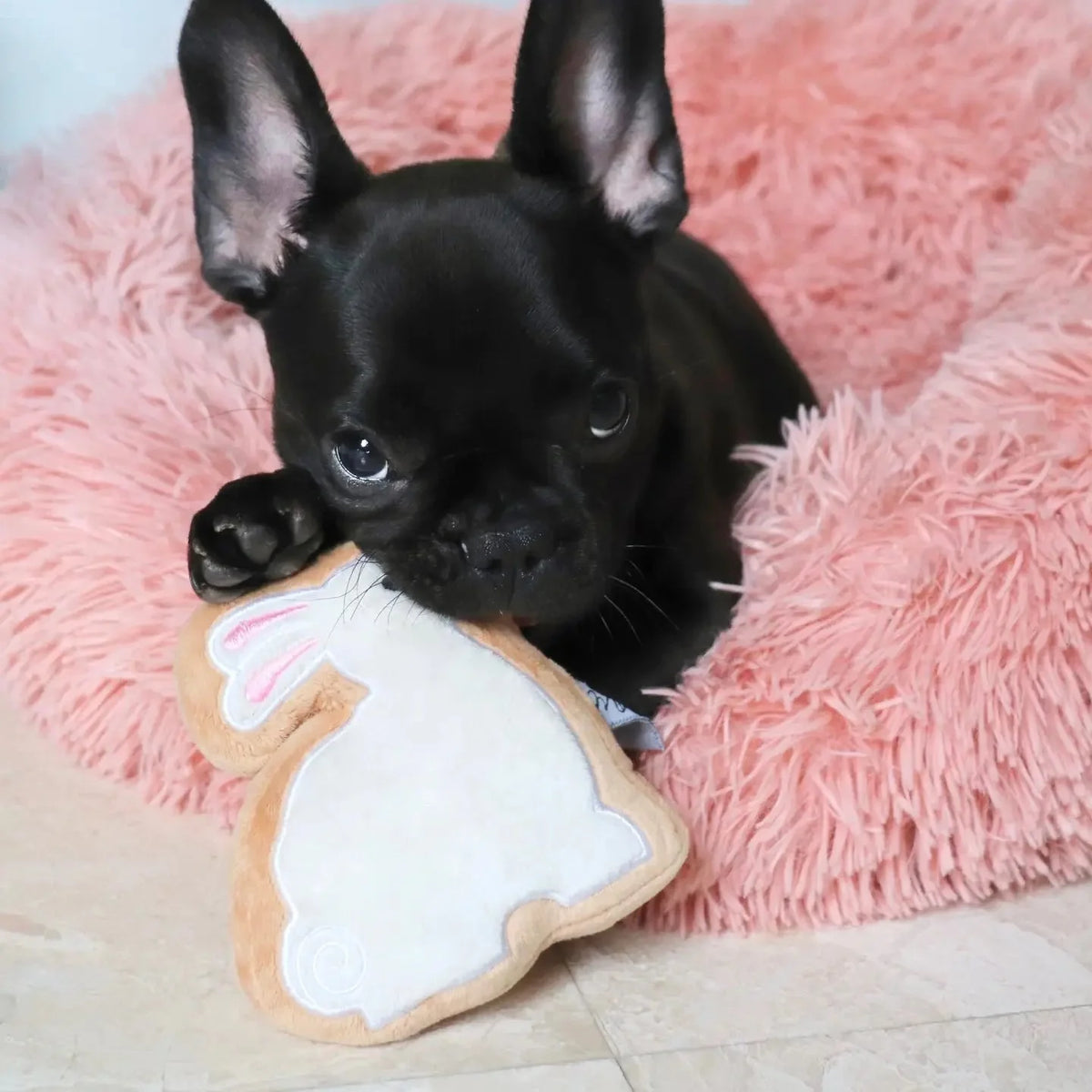 Sugar Cookie Easter Bunny Dog Toy