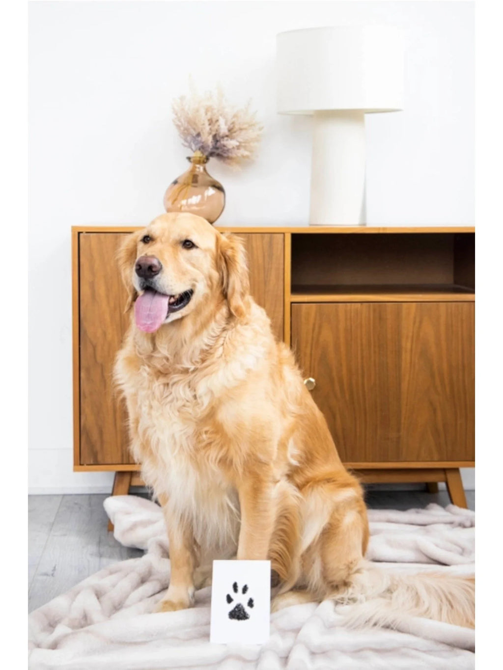 Pet Pawprint Clean-Touch Ink Pad