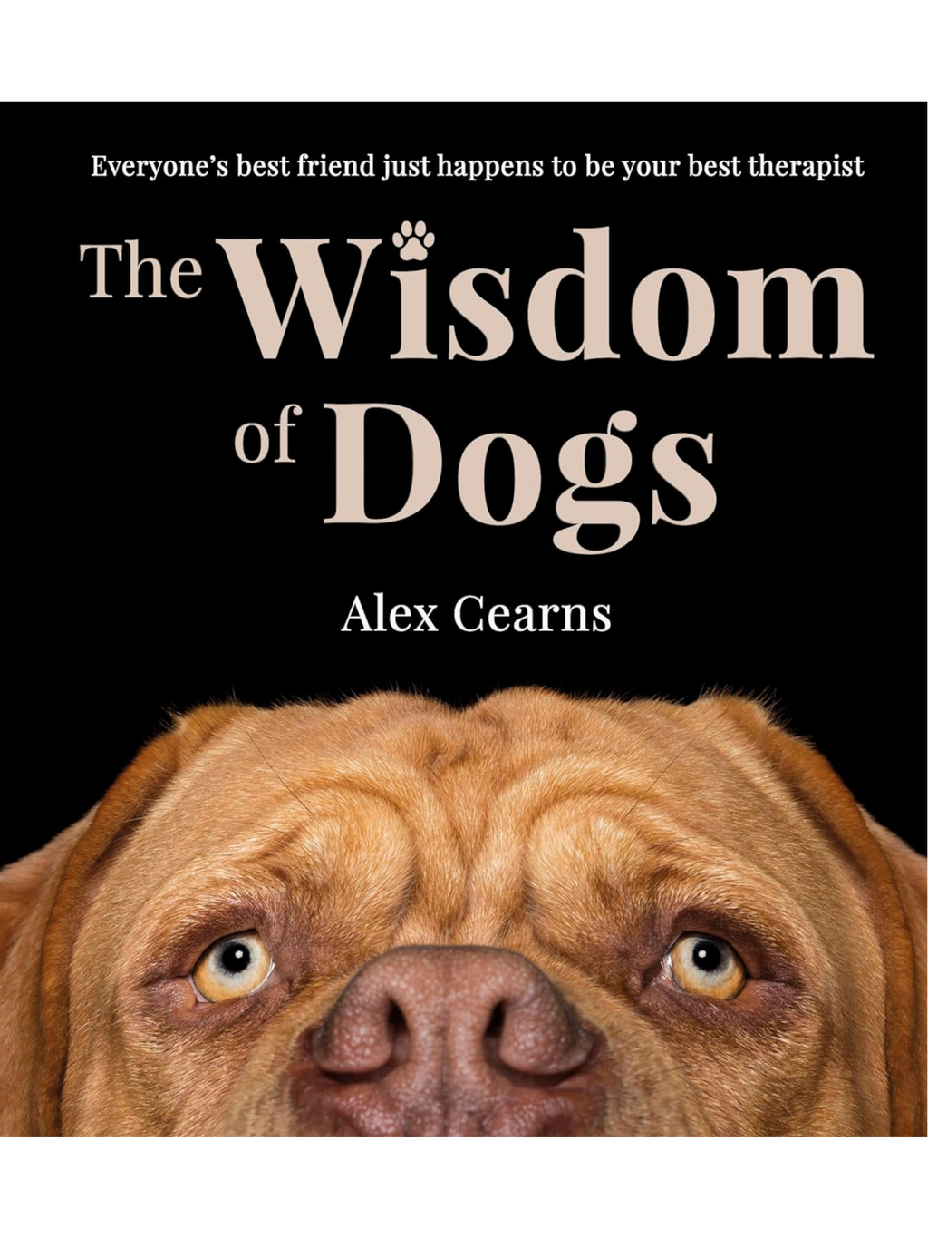 The Wisdom of Dogs: Alex Cearns