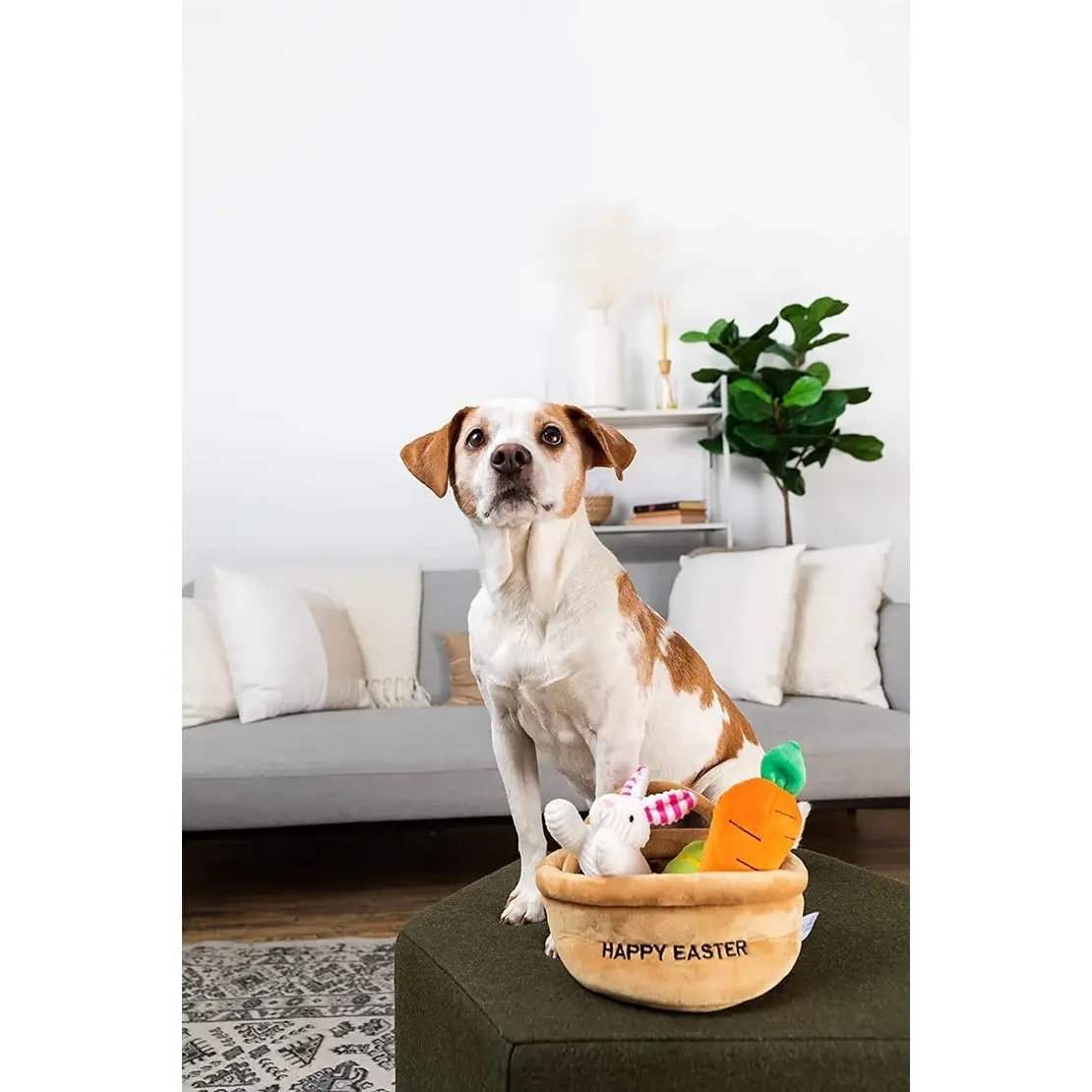 Hide A Toy Easter Basket Dog Toy